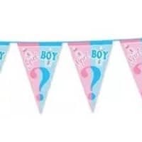 Gender Reveal Party Supply Flags